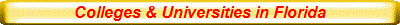 Colleges & Universities in Florida