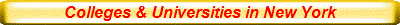 Colleges & Universities in New York